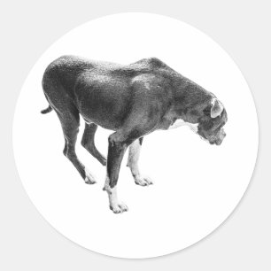 Adesivo Redondo Motivo da Lealdade