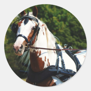 Adesivo Redondo movimentação nacional