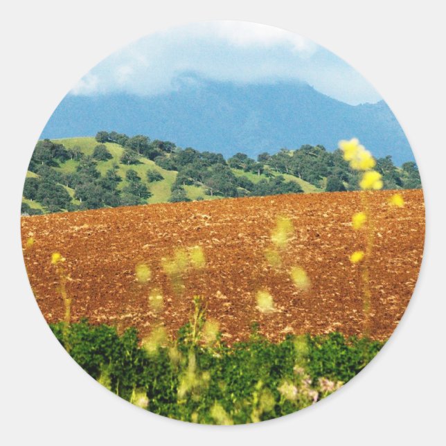 Adesivo Redondo Mt Diablo (Frente)