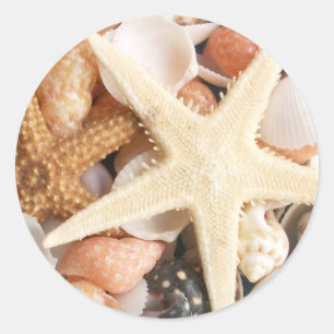 Adesivo Redondo Muitas conchas
