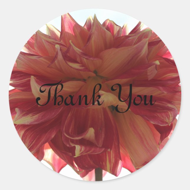 Adesivo Redondo Muito obrigado. (Frente)