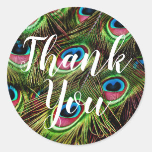 Adesivo Redondo Muito Obrigado Pacock Feather Stickers