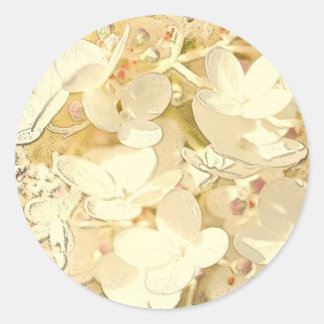 Adesivo Redondo muitos Pequeno