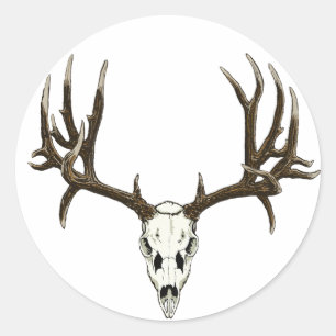 Adesivo Redondo Mule Deer skull