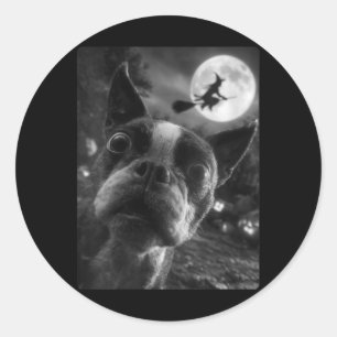 Adesivo Redondo Mulher Boston Terrier Selfie Lua Cheia Voando