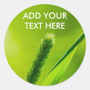 Adesivo Redondo Mundo Verde