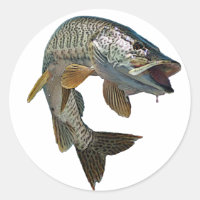 Musky Hunter 7