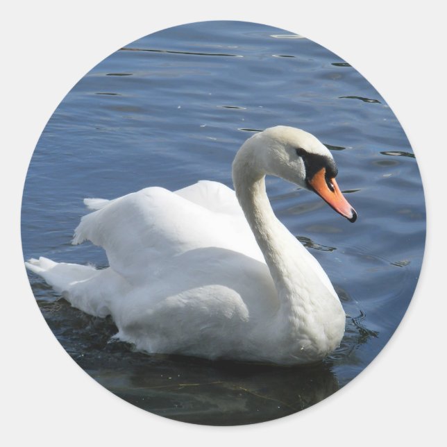 Adesivo Redondo Mute Swan Sticker (Frente)