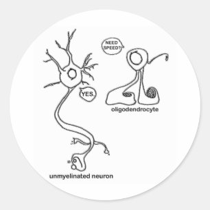 Adesivo Redondo Myelin Pusher