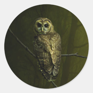 Adesivo Redondo Mystique Owl