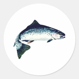 Adesivo Redondo Nadação à cabeça de vapor