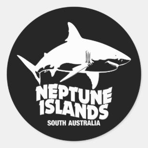 Adesivo Redondo Nadar Com Tubarões Brancos Excelentes Ilhas Netuno