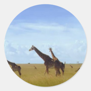 Adesivo Redondo Nairobi National Park Girafas