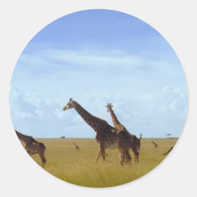 Adesivo Redondo Nairobi National Park Girafas (Frente)