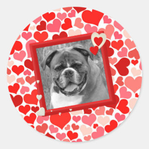 Adesivo Redondo Namorados Boxer Dog Hearts