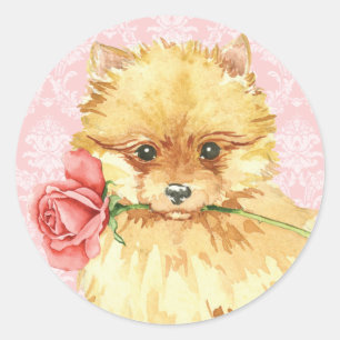 Adesivo Redondo Namorados Pomeranian cor-de-rosa
