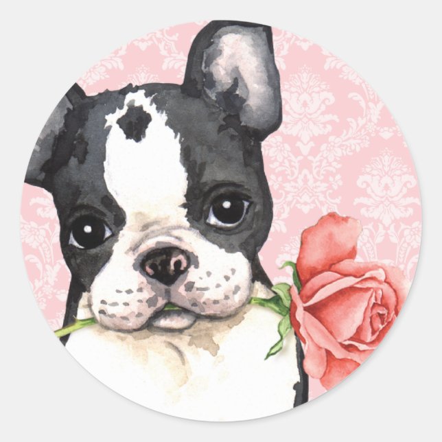 Adesivo Redondo Namorados Rosa Boston Terrier (Frente)