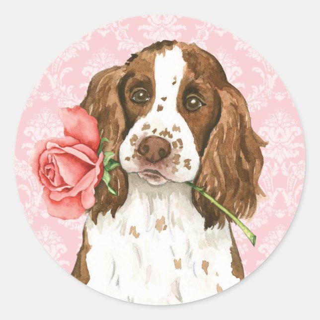 Adesivo Redondo Namorados Rosa English Springer (Frente)