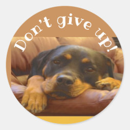 Adesivo Redondo Não desista do encorajamento rottweiler