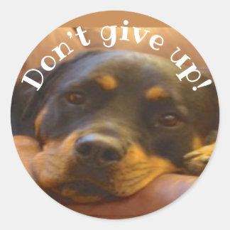 Adesivo Redondo Não desista do Rottweiler Classic Round Sticker