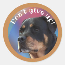 Não desista do Rottweiler Classic Round Sticker