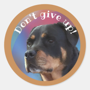 Adesivo Redondo Não desista do Rottweiler Classic Round Sticker