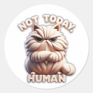 Adesivo Redondo Não Hoje, Artesanato de Gato Humano Grumpy