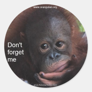 Adesivo Redondo Não me esqueça (o bebê do primata)