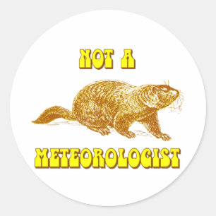 Adesivo Redondo Não um meteorologista Groundhog