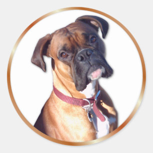 Adesivo Redondo Não vá