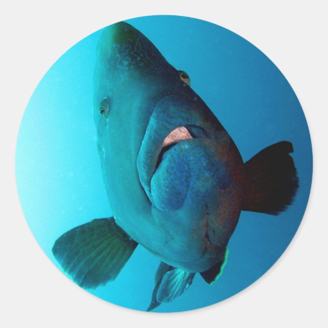 Adesivo Redondo Napoleão (Frente)