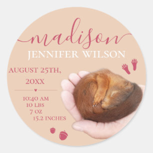 Adesivo Redondo Nascimento da bebê nascida de presente de menina é