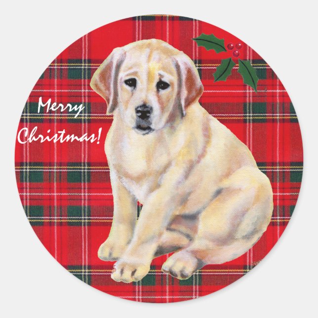 Adesivo Redondo Natal Amarelo Labrador Puppy Tartan (Frente)