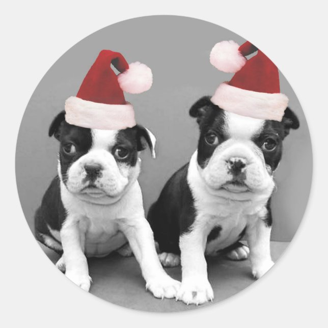 Adesivo Redondo Natal Boston Terriers (Frente)