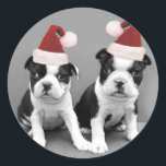 Adesivo Redondo Natal Boston Terriers<br><div class="desc">Terríveis de boxe de Natal</div>