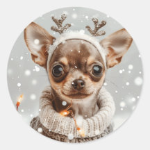 Natal Chihuahua Reindeer Dog