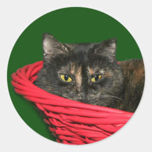 Adesivo Redondo Natal da concha de tartaruga