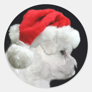 Adesivo Redondo Natal de Bichon Frise
