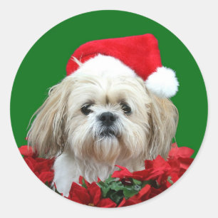 Adesivo Redondo Natal de Shih Tzu