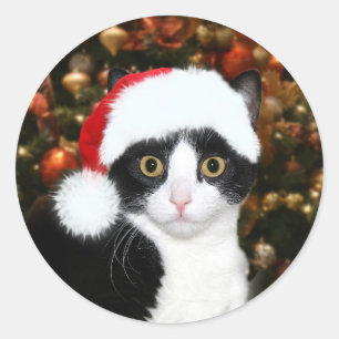Adesivo Redondo Natal do gato do gatinho do smoking