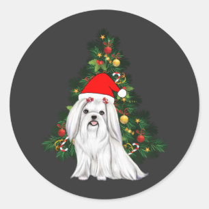 Adesivo Redondo Natal Maltês, Xmas Maltês Cachorro com chapéu de P
