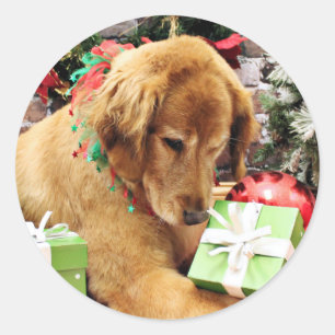 Adesivo Redondo Natal - Ouro Retriever - Addison