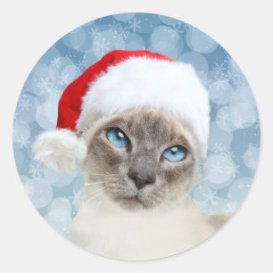 Adesivo Redondo Natal para o gato siamês