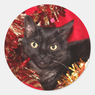 Adesivo Redondo Natal preto do gato do gatinho