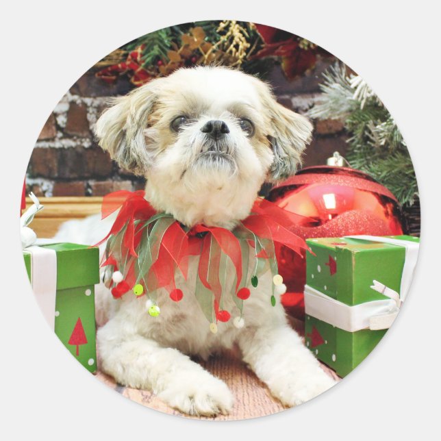Adesivo Redondo Natal - Shih Tzu - Bailey (Frente)