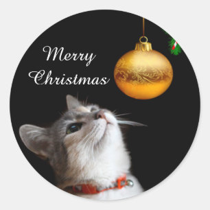 Adesivo Redondo Natal tentado do gato do gatinho
