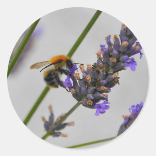 Adesivo Redondo Natures WonMaravilha Workers