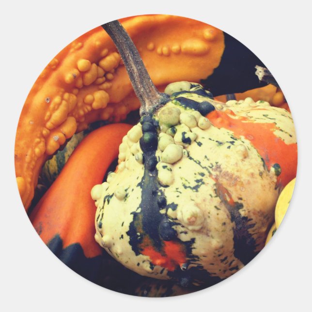 Adesivo Redondo Natureza das ricos (Frente)