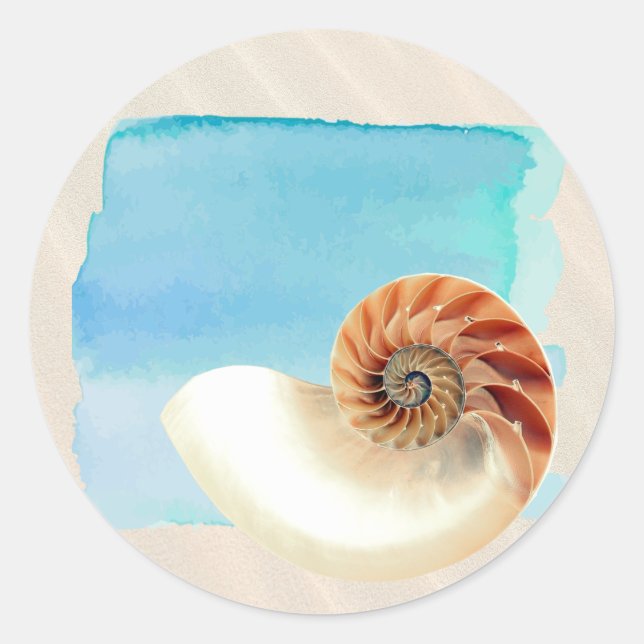 Adesivo Redondo Nautilus Seashell e Sand (Frente)
