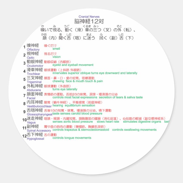 Adesivo Redondo Nervos cranianos japoneses 12 (Frente)